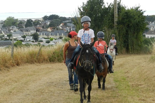 Poney et coquillages en Baie 