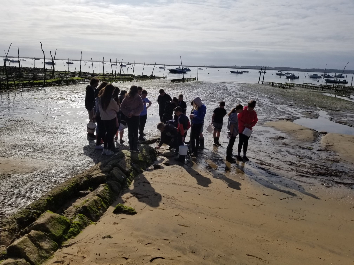 Découverte du Bassin d'Arcachon à Andernos-les-Bains 