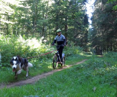 L'aventure Cani rando, Défi nature pour ados 