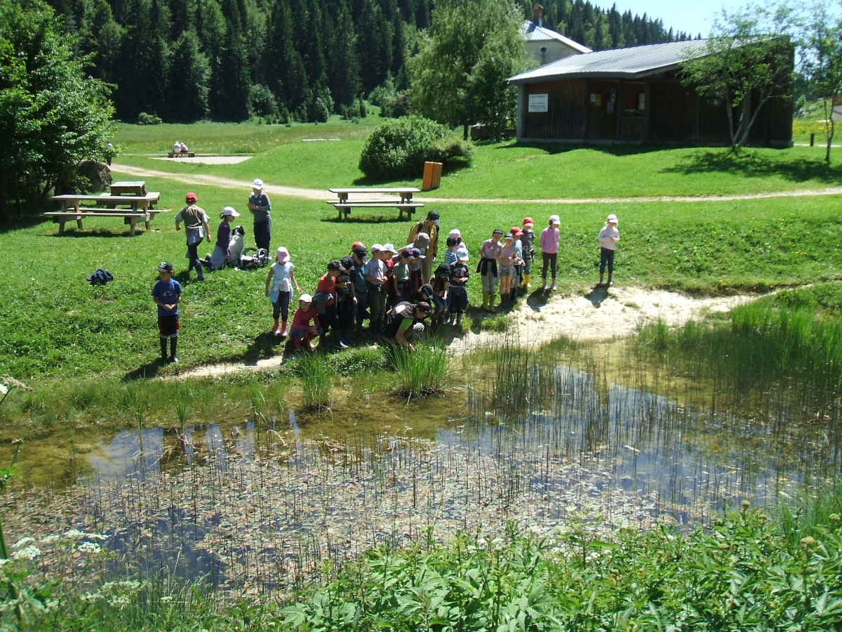 Natation et environnement dans le Haut-Jura 