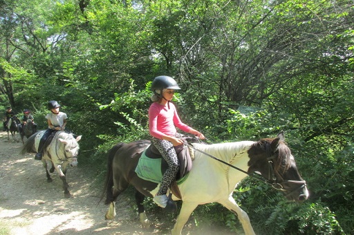 Lauzerte - Multi activités et équitation 