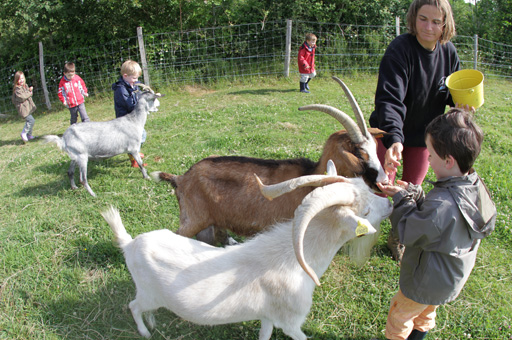 Ma colo nature et équitation 