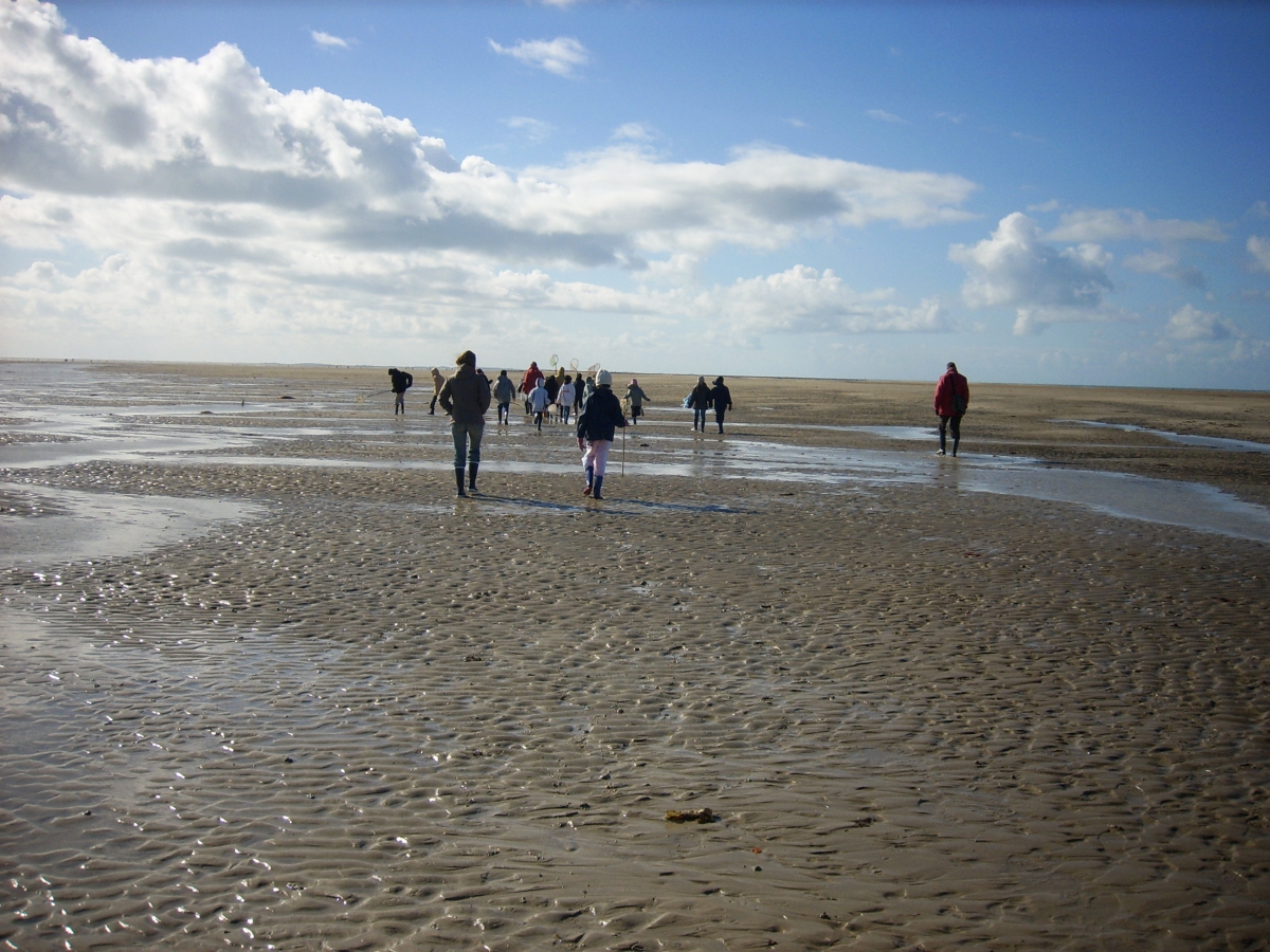 Savoir nager en bord de mer 