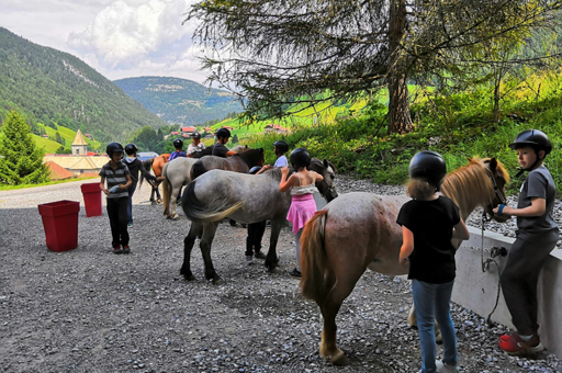 Je peux pas, j'ai poney 