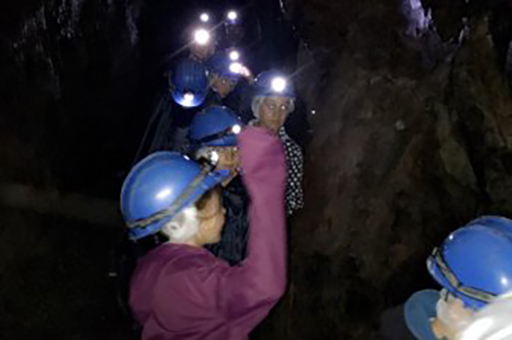 Les aventuriers de Koh-Lanta 